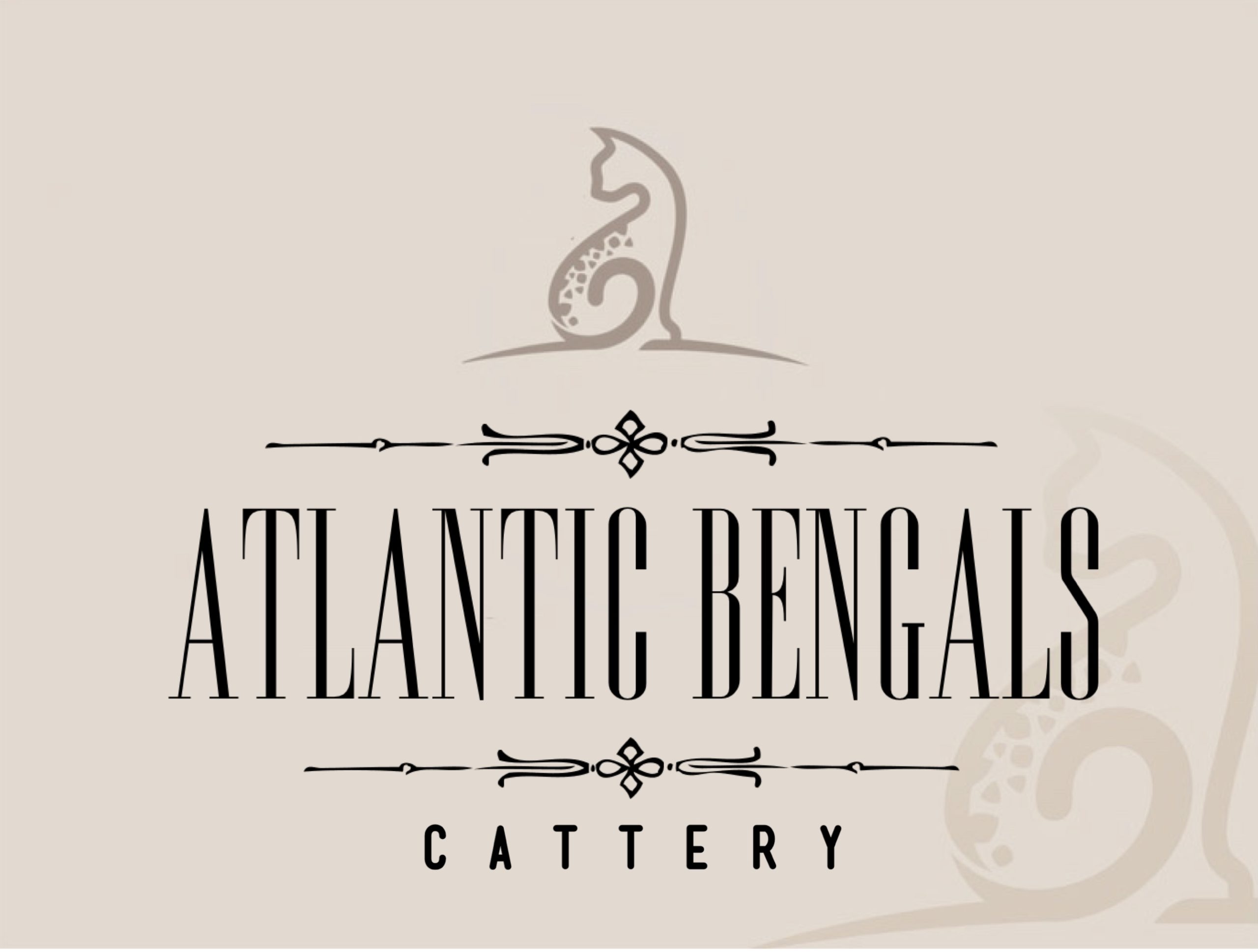 Atlantic Bengals